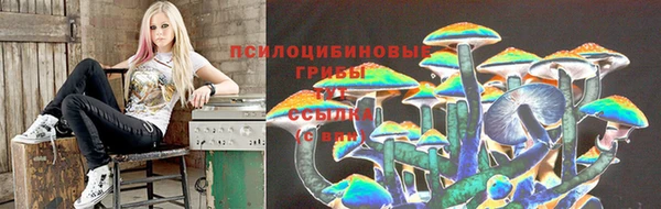 кристаллы Гусев
