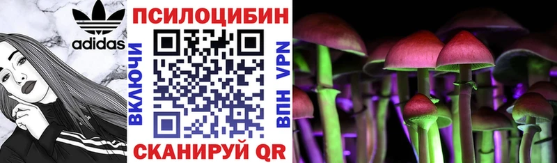 Галлюциногенные грибы GOLDEN TEACHER  хочу наркоту  Чегем 